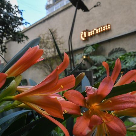 Casa Franca Recoleta Hostel Buenos Aires Esterno foto